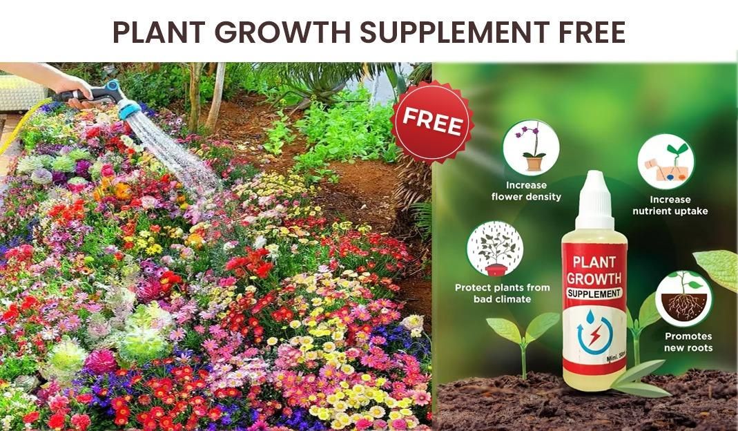 Premium Flower Seeds (Pack of 100) + Plant Supplement Free